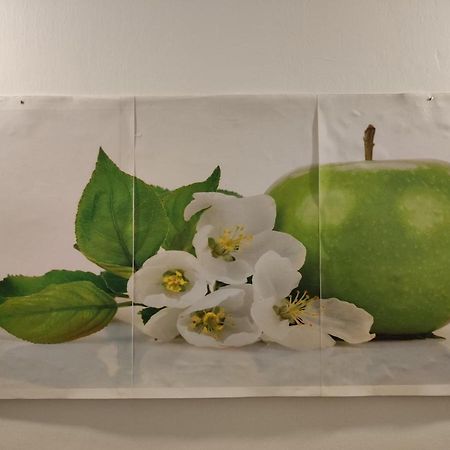 Mela Verde Villa Palermo Eksteriør billede